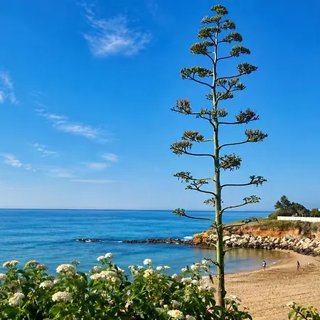 Garden Near Pantanello *